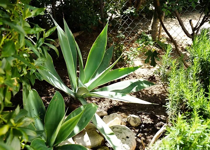 Semesterbostad Mateus *