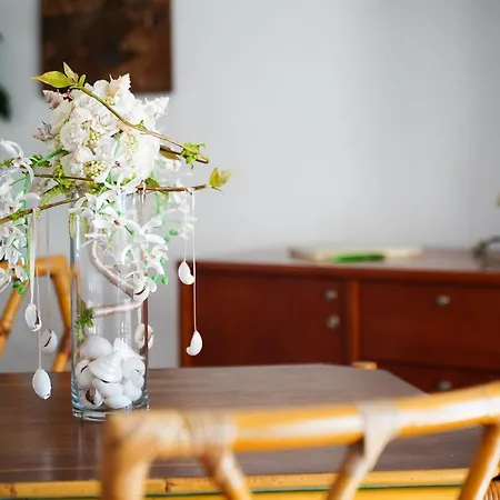 Mateus Casa de Férias