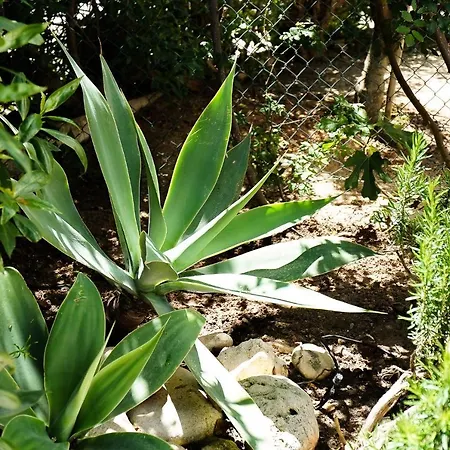 Casa de Férias Mateus *